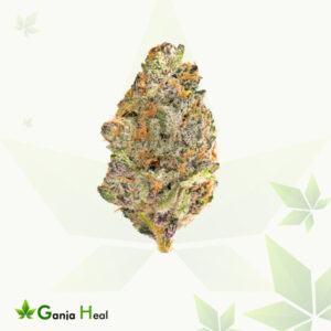 Gelonade Strain