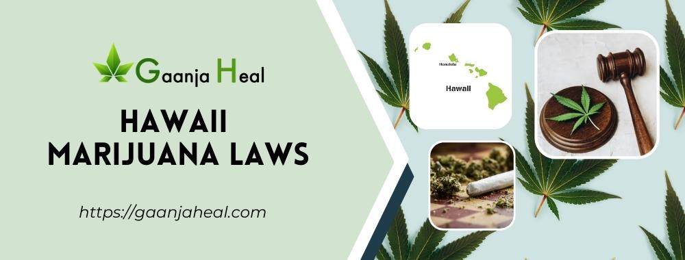 Hawaii Marijuana Laws