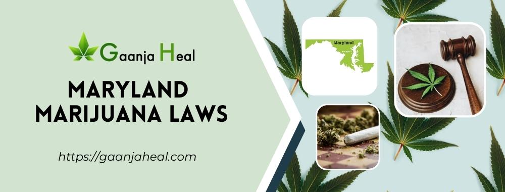 Maryland Marijuana Laws
