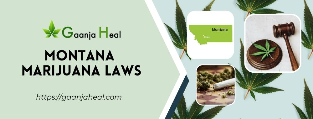 Montana Marijuana Laws