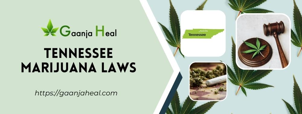 Tennessee Marijuana Laws
