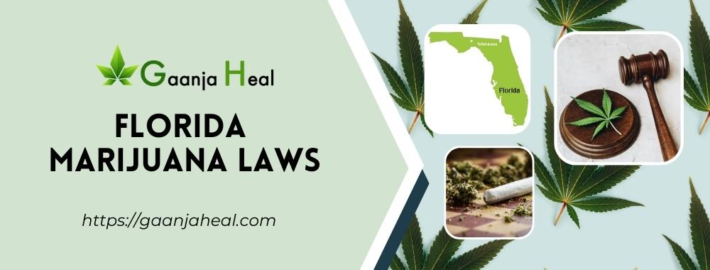 Florida Marijuana Laws