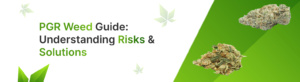 PGR Weed Guide Understanding Risks & Solutions