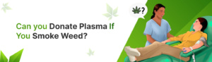 Can you Donate Plasma If you Smoke Weed?