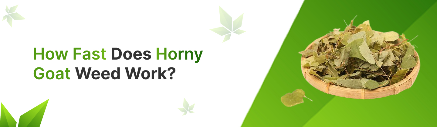 How Fast Does Horny Goat Weed Work?