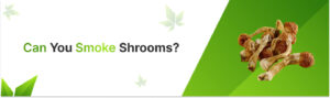 Can You Smoke Shrooms?