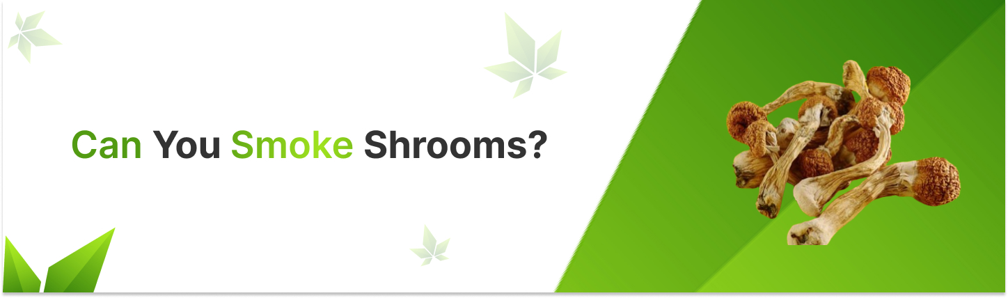Can You Smoke Shrooms?