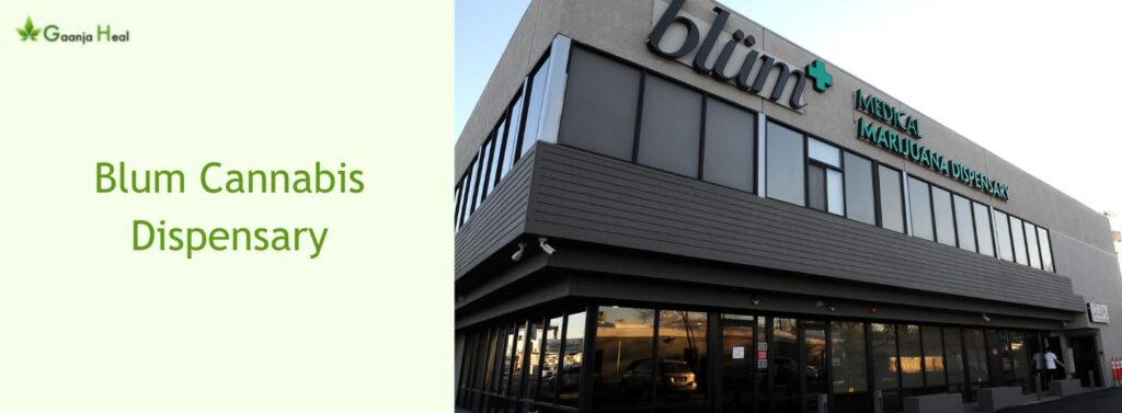 Blum Cannabis Dispensary