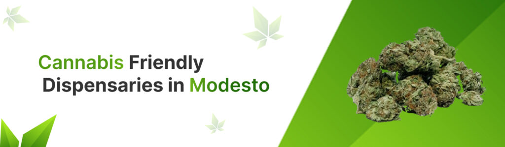 Cannabis-Friendly Dispensaries in Modesto