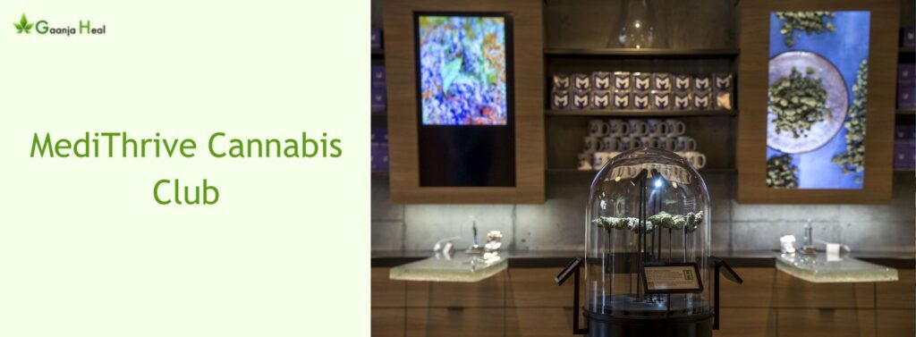 MediThrive Cannabis Club