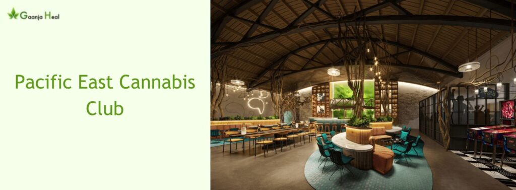 Pacific East Cannabis Club