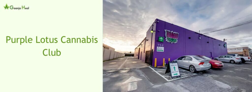 Purple Lotus Cannabis Club