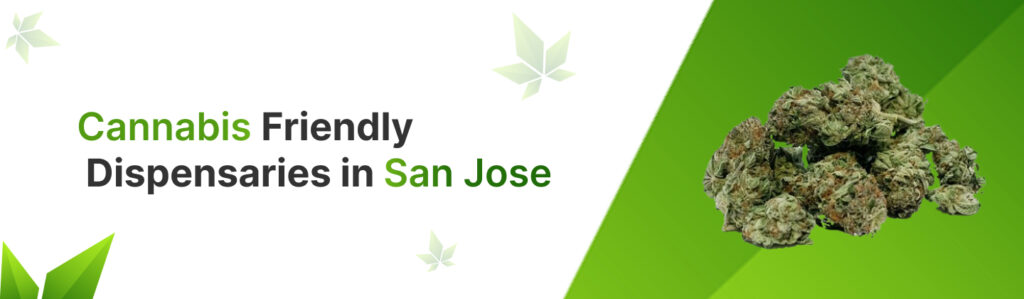 Cannabis-Friendly Dispensaries in San Jose