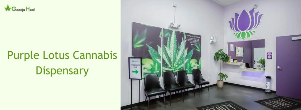 Purple Lotus Cannabis Dispensary