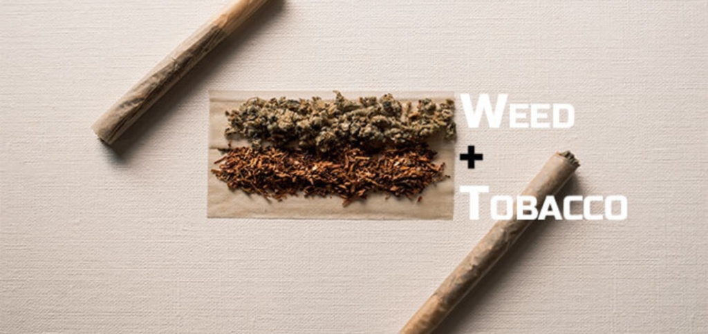 Spliff Rolling: Combining Tobacco and Weed 
