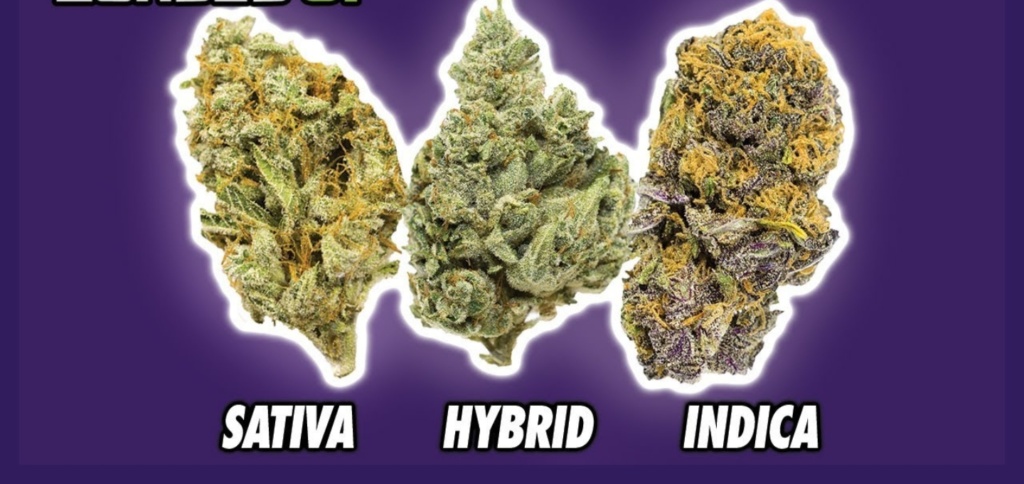 Different Types of Weed